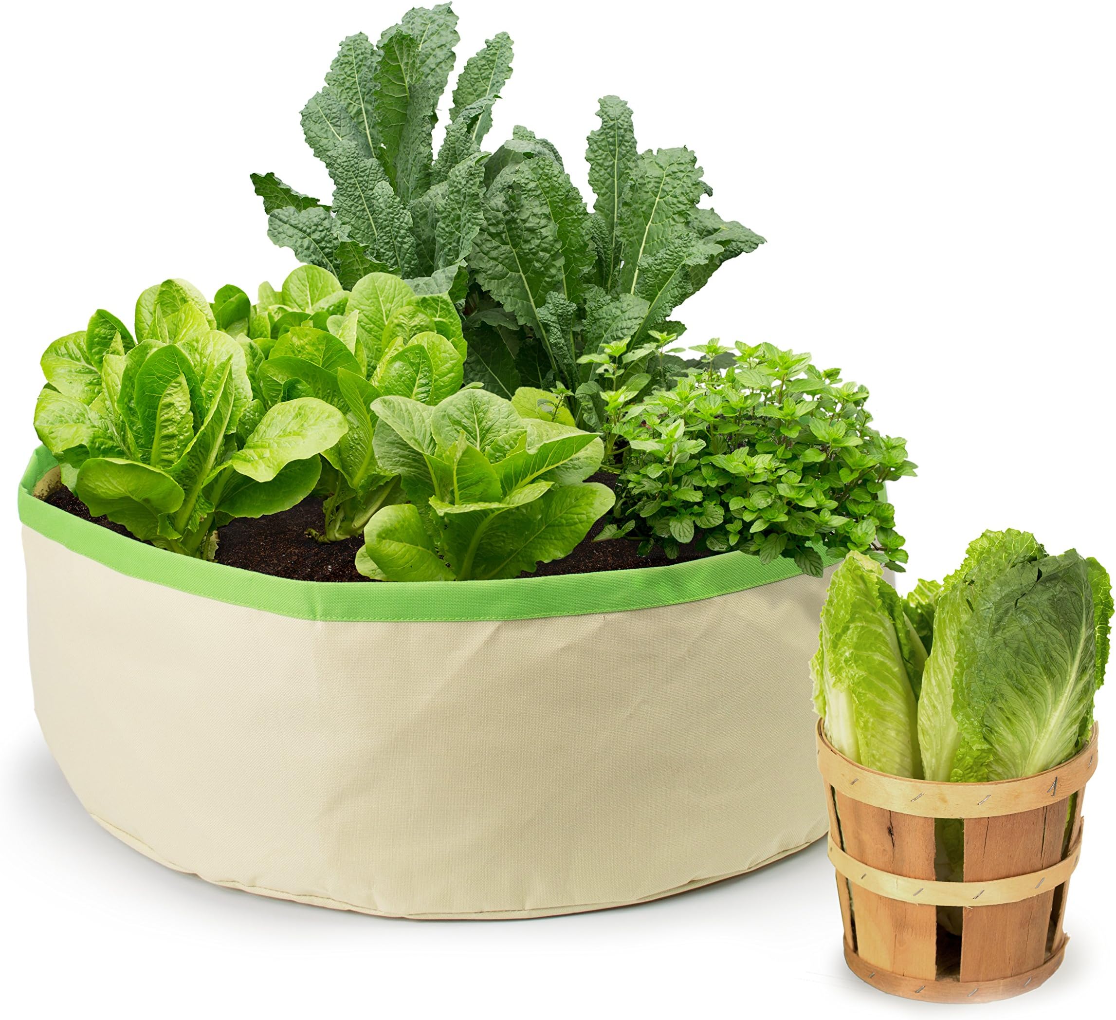 Homegrown Gourmet Herbs and Greens Harvest Grow Bag