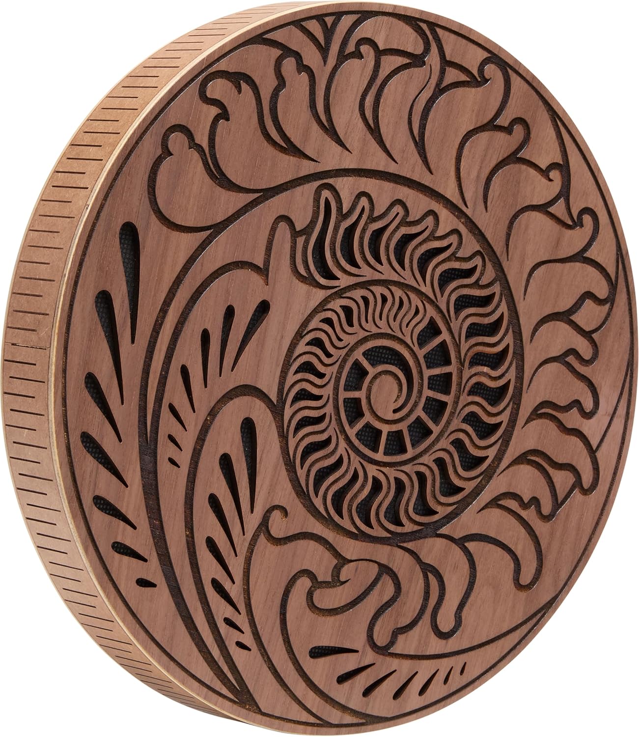 Meinl Sonic Energy Rain Disc, 10" — Water and Ocean Sound Effects for Meditation, Yoga, Sound Baths, Music