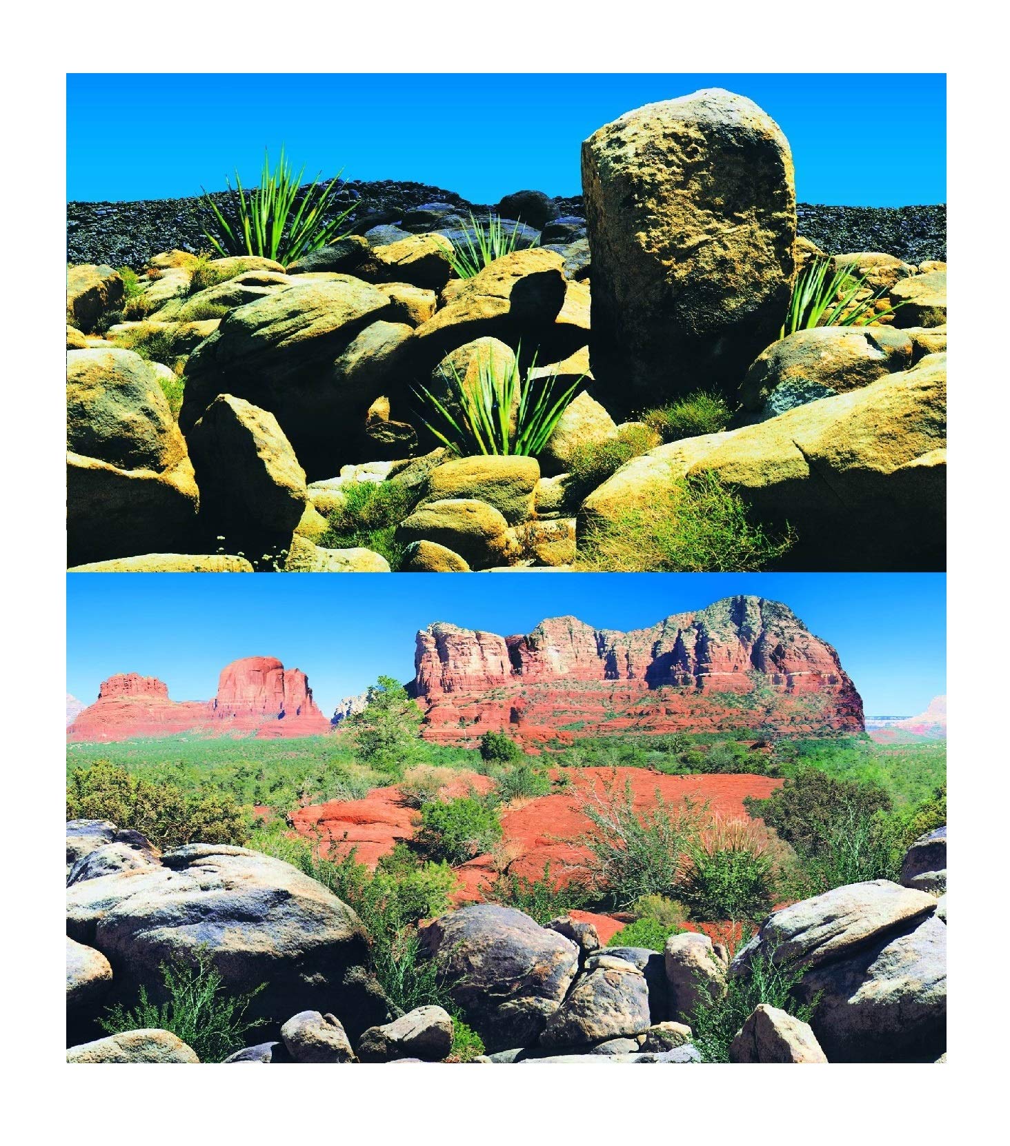 Hidom Aquarium Background Poster Double Sided - Height 24" / 60cm - Length 10 FT / 305cm - Two Scenic Pictures displaying Vivarium Reptile Desert Backdrops - DS-600-9068/9069