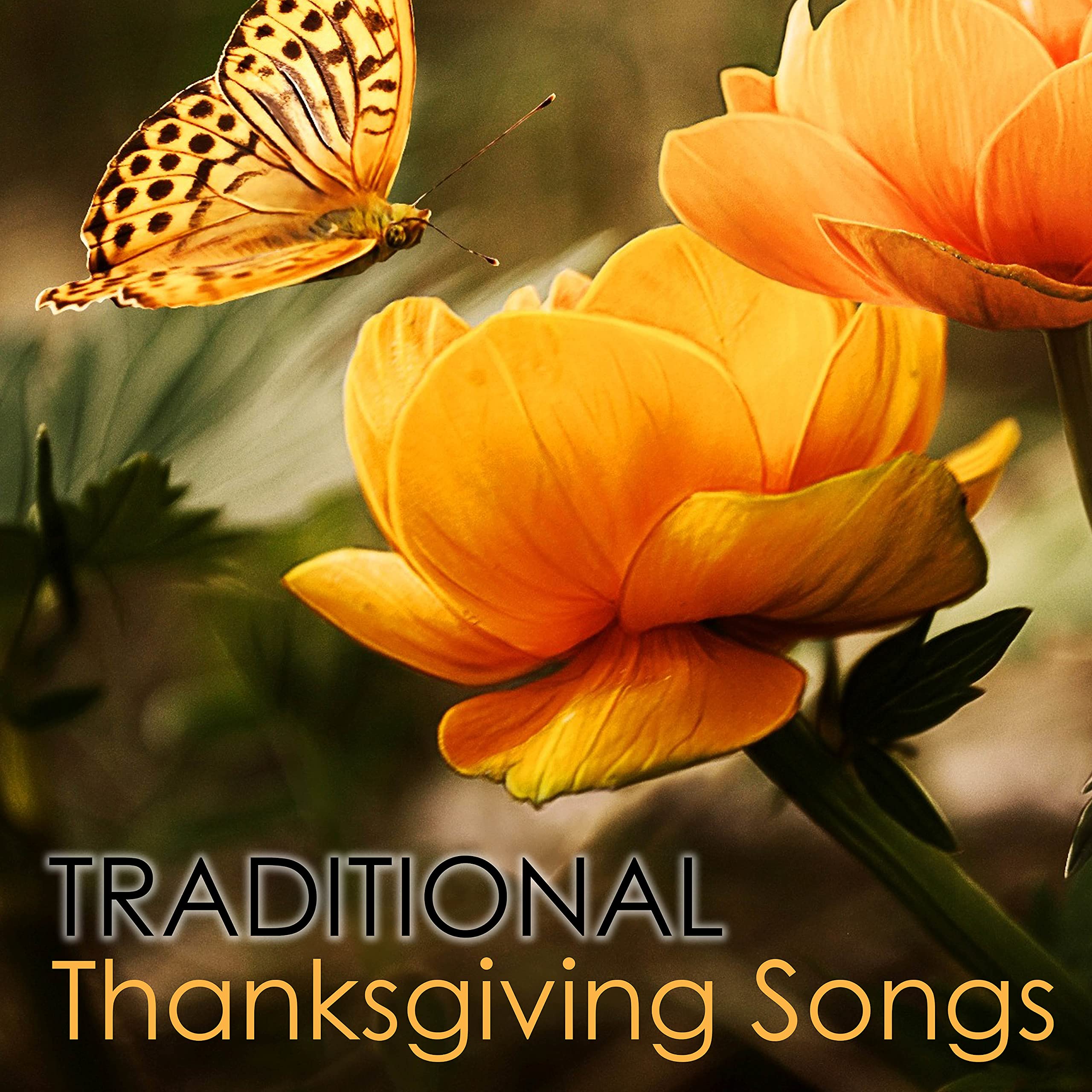 Thanksgiving Classical Music Ensemble