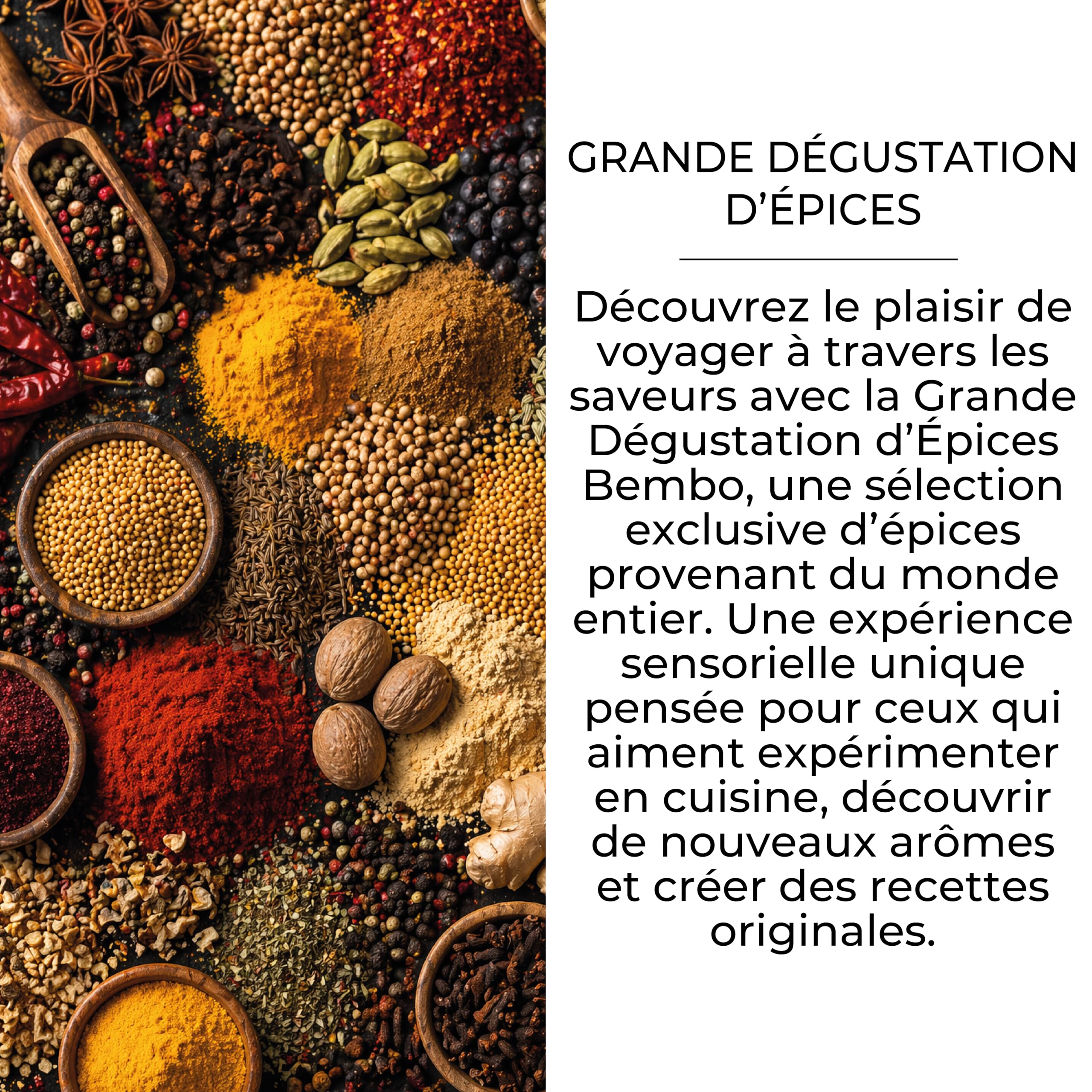 Bembo Coffret de 15 Épices du Monde – Collection Dégustation | 15 épices à observer, sentir, goûter et comparer. Un voyage sensoriel au cœur des épices du monde.