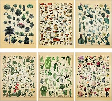 Fainne Set of 6 Plant Poster Vintage Botanical Prints 12 x 16 Inch Decorative Wrap Poster Tree Art Picture Vintage Mushroom Floral Nature Decor Cactus Prints Paper