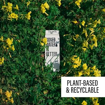 Boxed Water 1 Liter Purified Drinking Water in Plant-Based Cartons 100% Recyclable