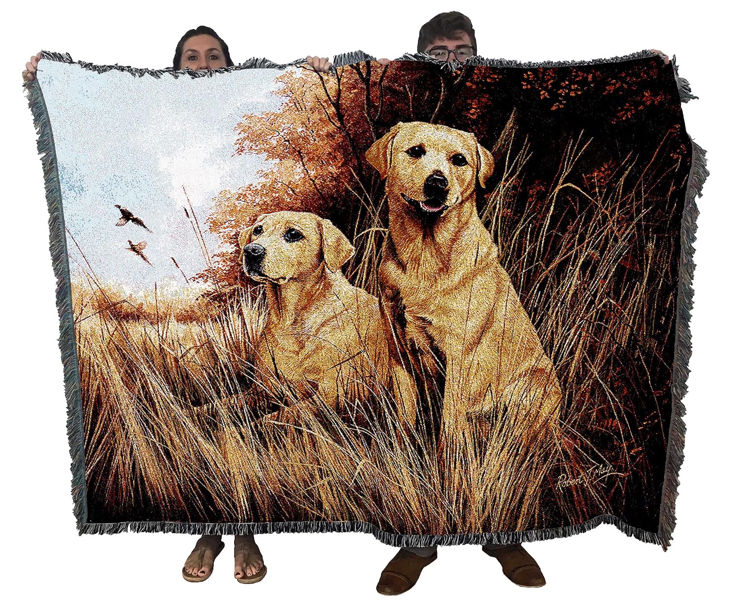 Pure Country 1934-T Yellow Lab Pet Blanket, Various Blended Colorways, 53 by 70-Inch - Review, Price and Buying Guide