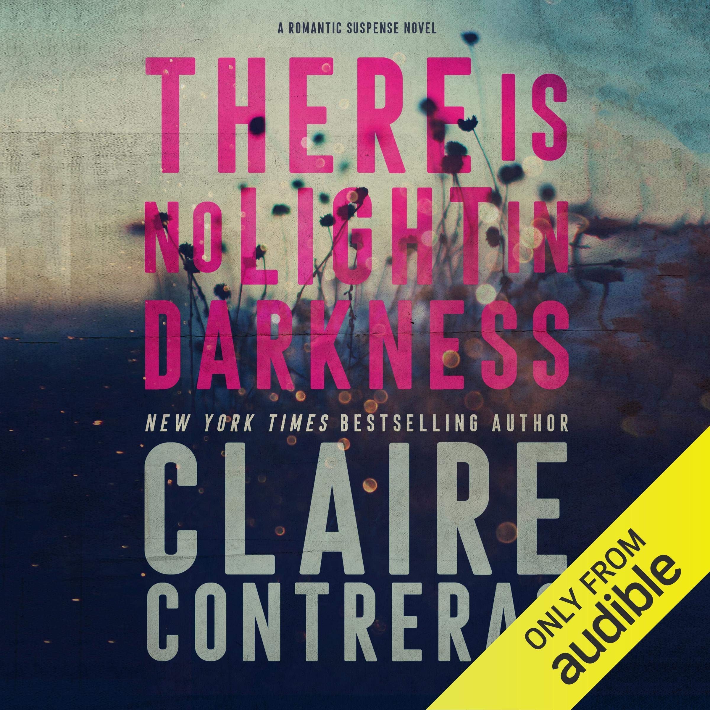 Cover art for There Is No Light in Darkness