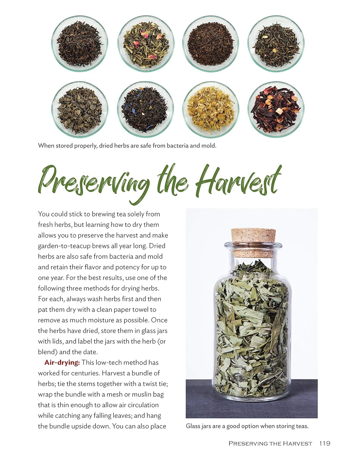 Growing Your Own Tea Garden: The Guide to Growing and Harvesting Flavorful Teas in Your Backyard (CompanionHouse Books) Create Tea Blends to Manage Stress, Boost Immunity, Soothe Headaches, and More