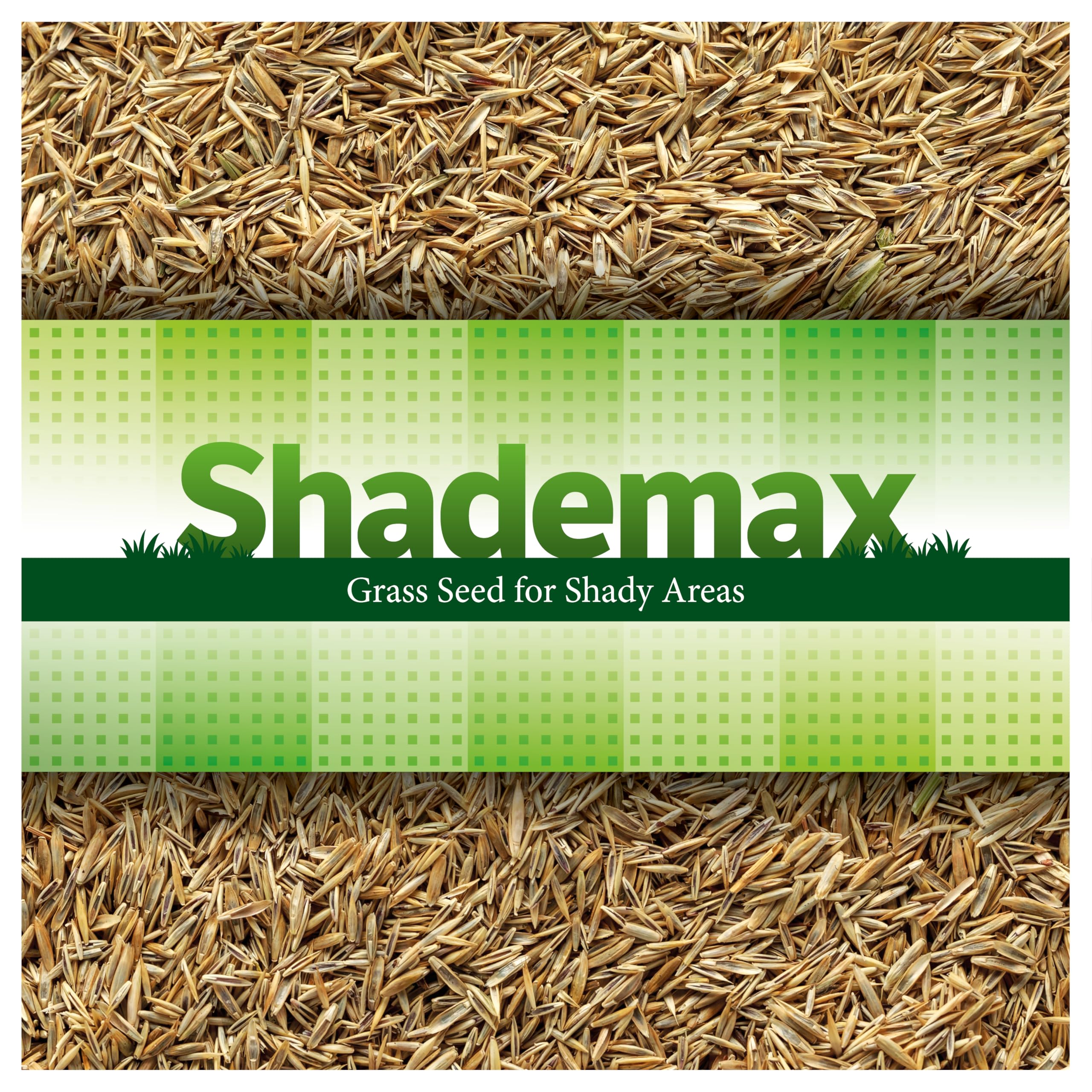 Shademax – Grass Seeds for Shady Areas, Lawn Seeds for Shade, Shady Grass Seed, Lawn Seed (5kg)