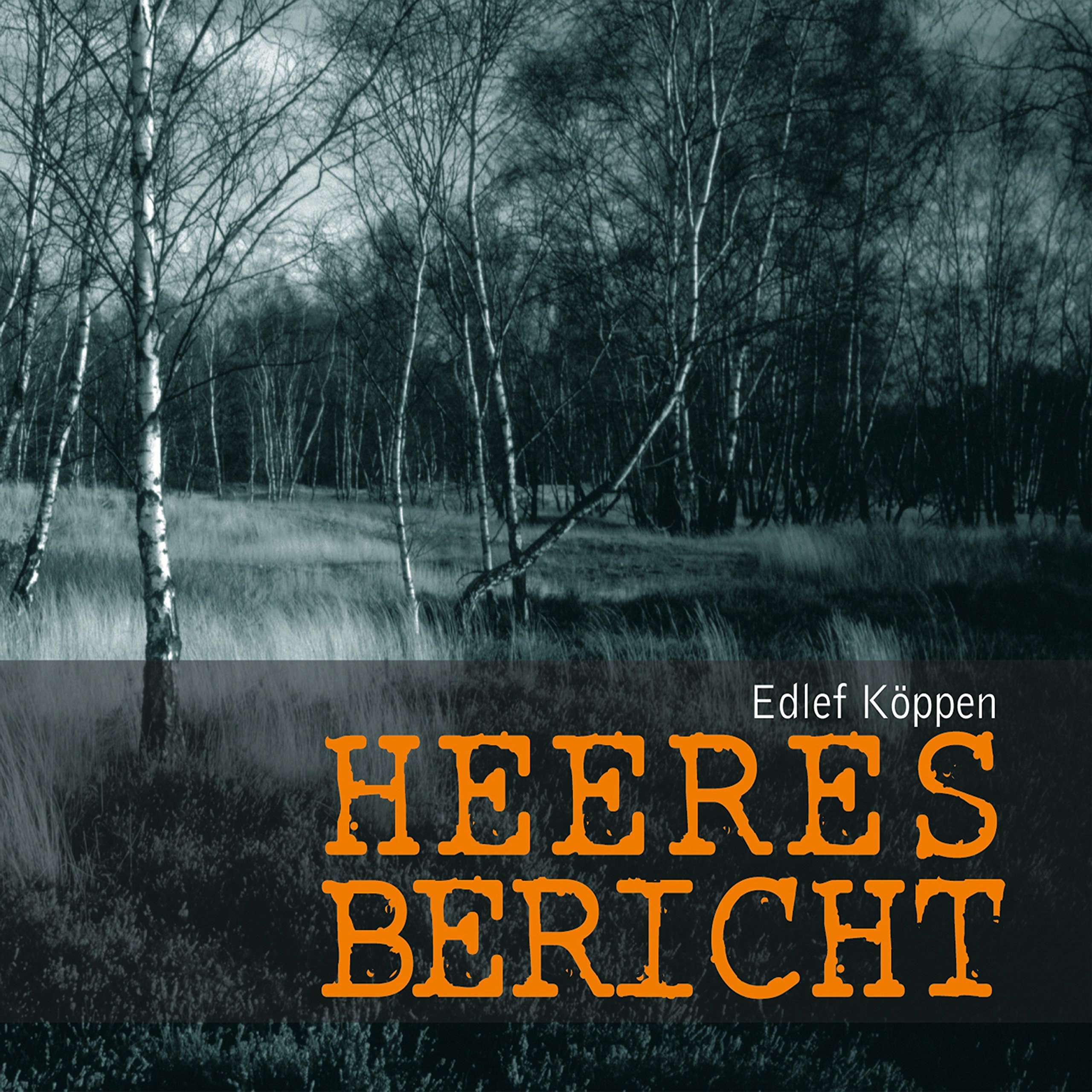 Cover art for Heeresbericht