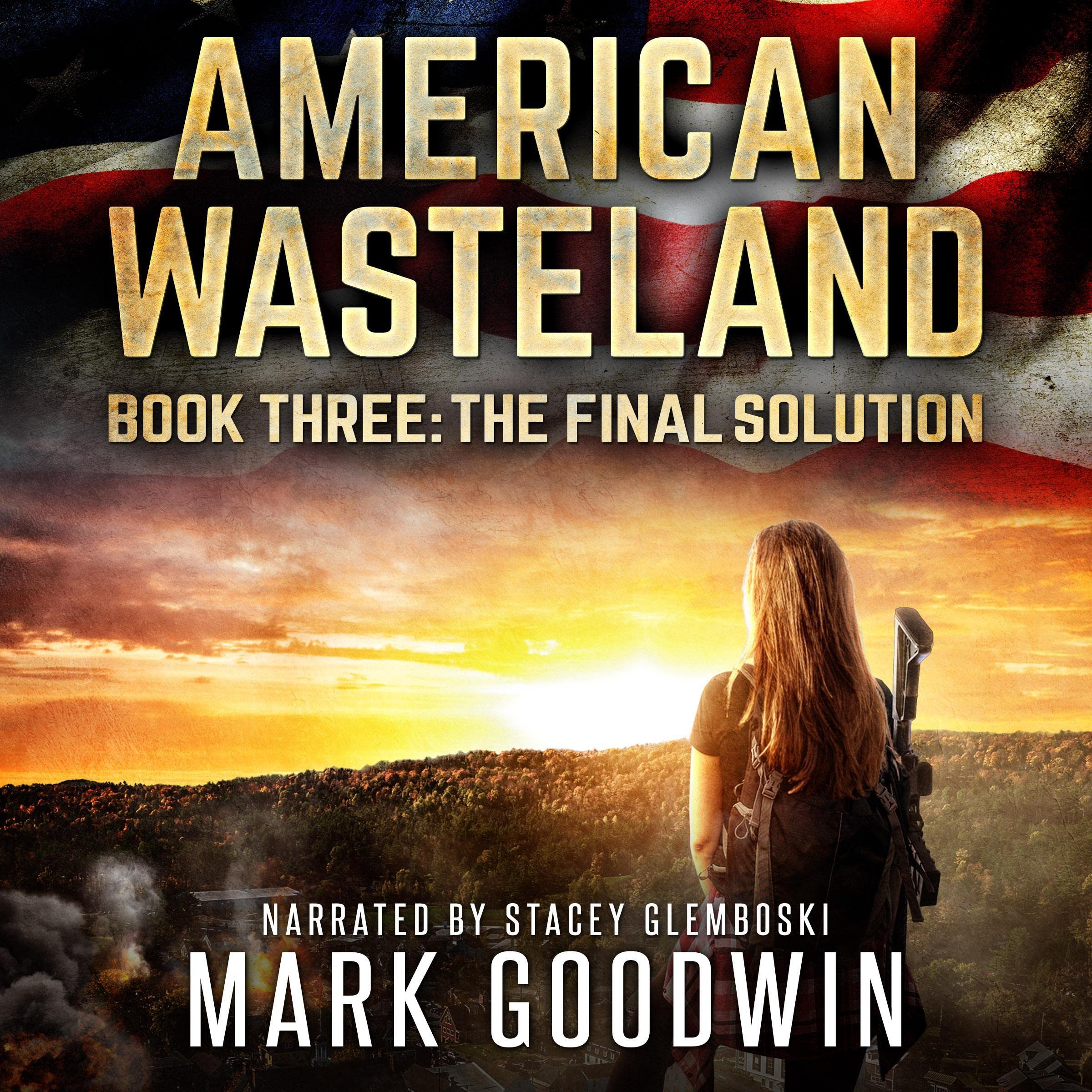Cover art for The Final Solution