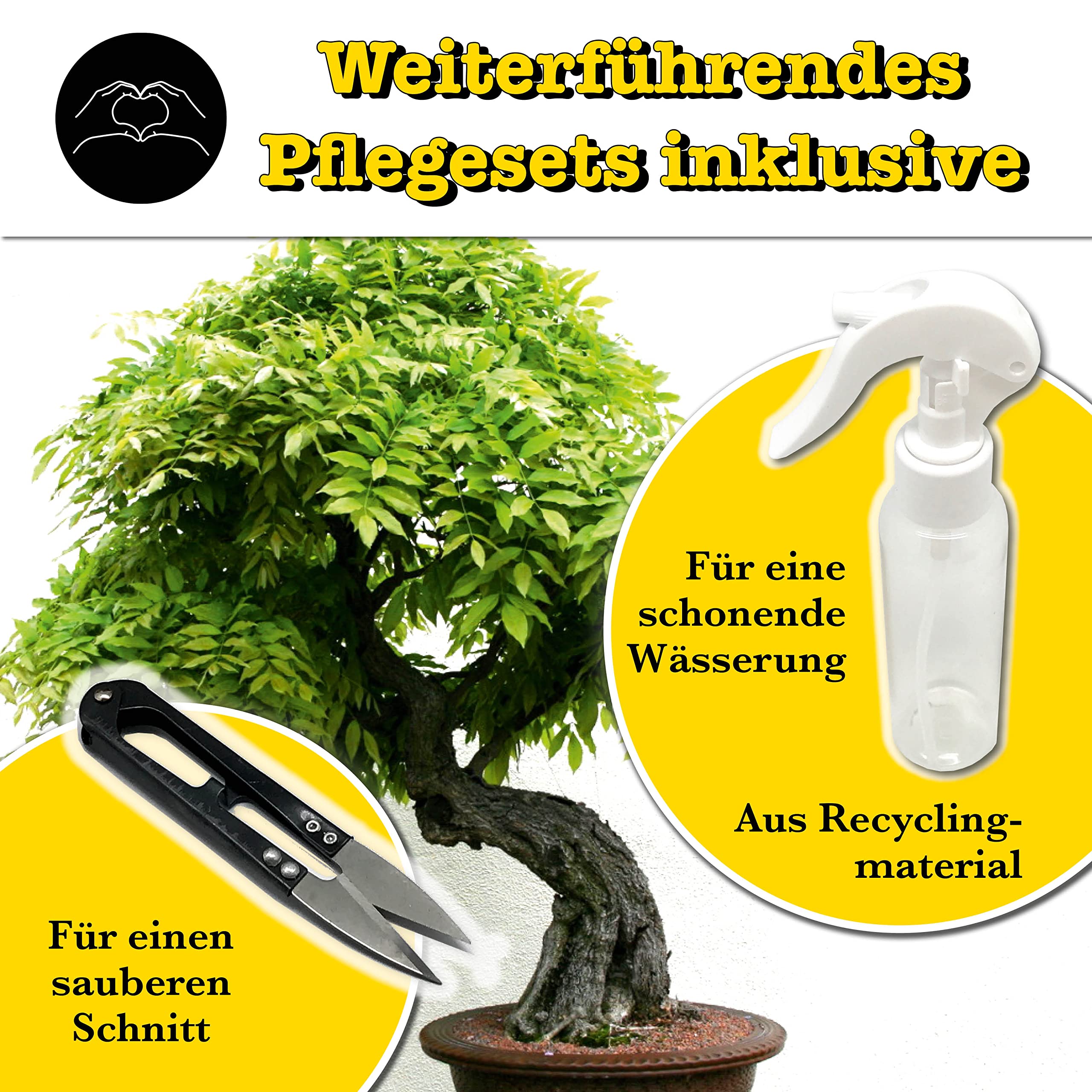 bonsai zchten dauer Scharfe Bonsai Schere aus Stahl
