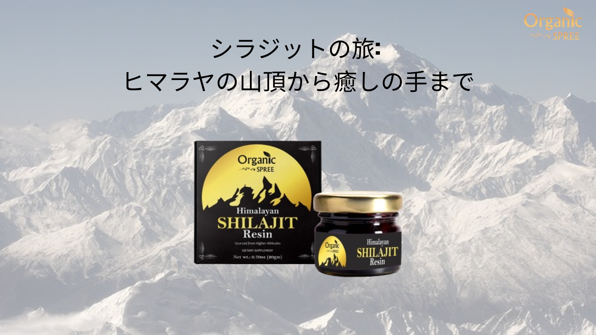 Himalayan Shilajit ヒマラヤシラジット100gram Himalayan Shilajit ヒマラヤシラジット100gram