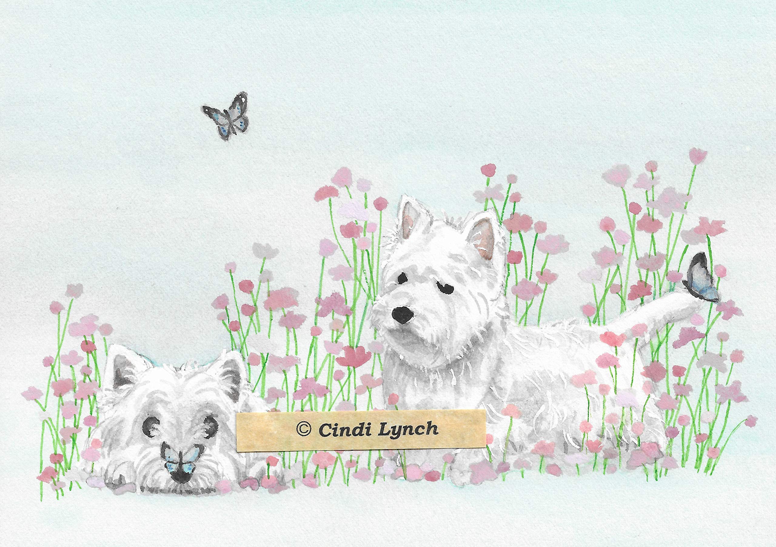 How Much Does A West Highland Terrier Cost