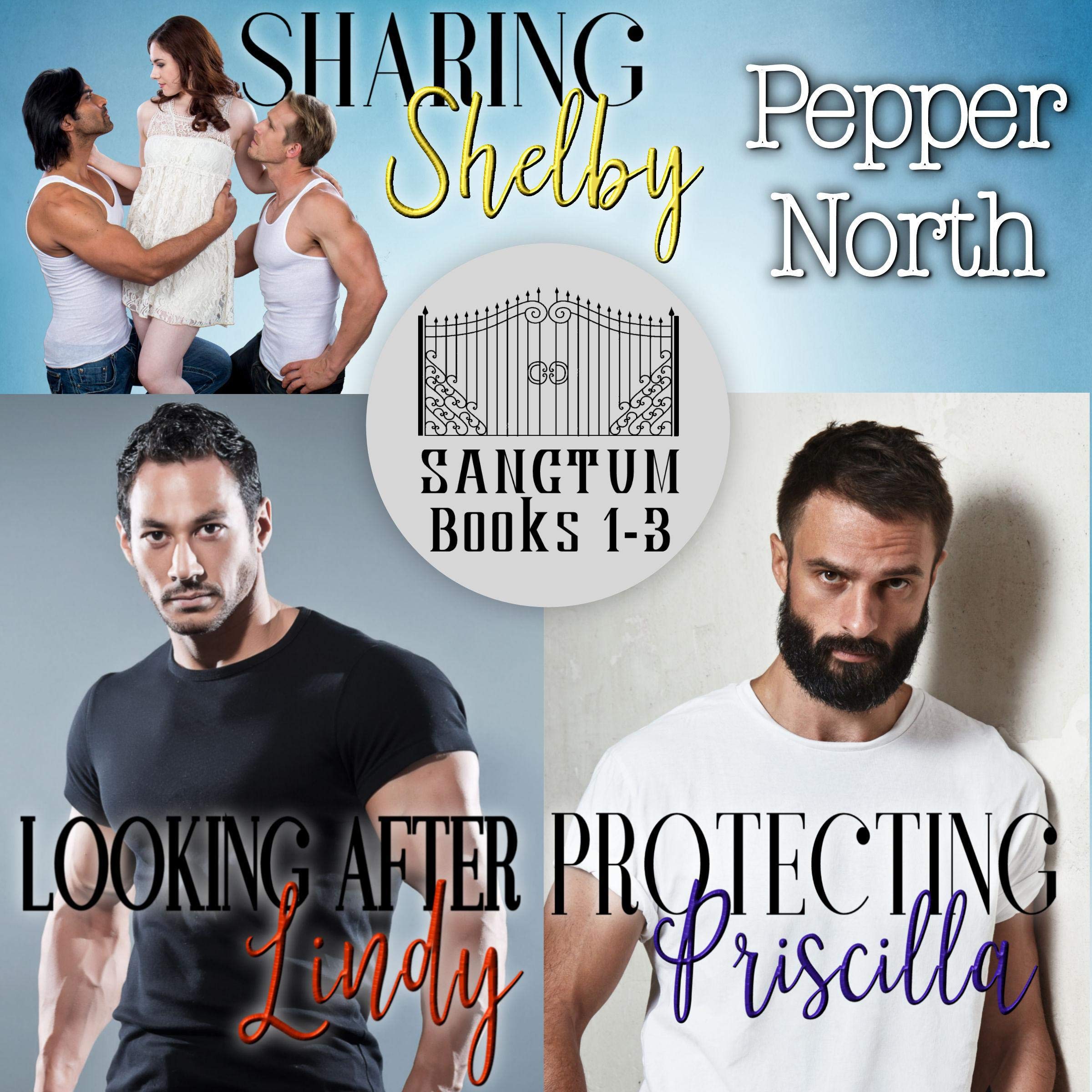 Sanctum: Books 1 - 3