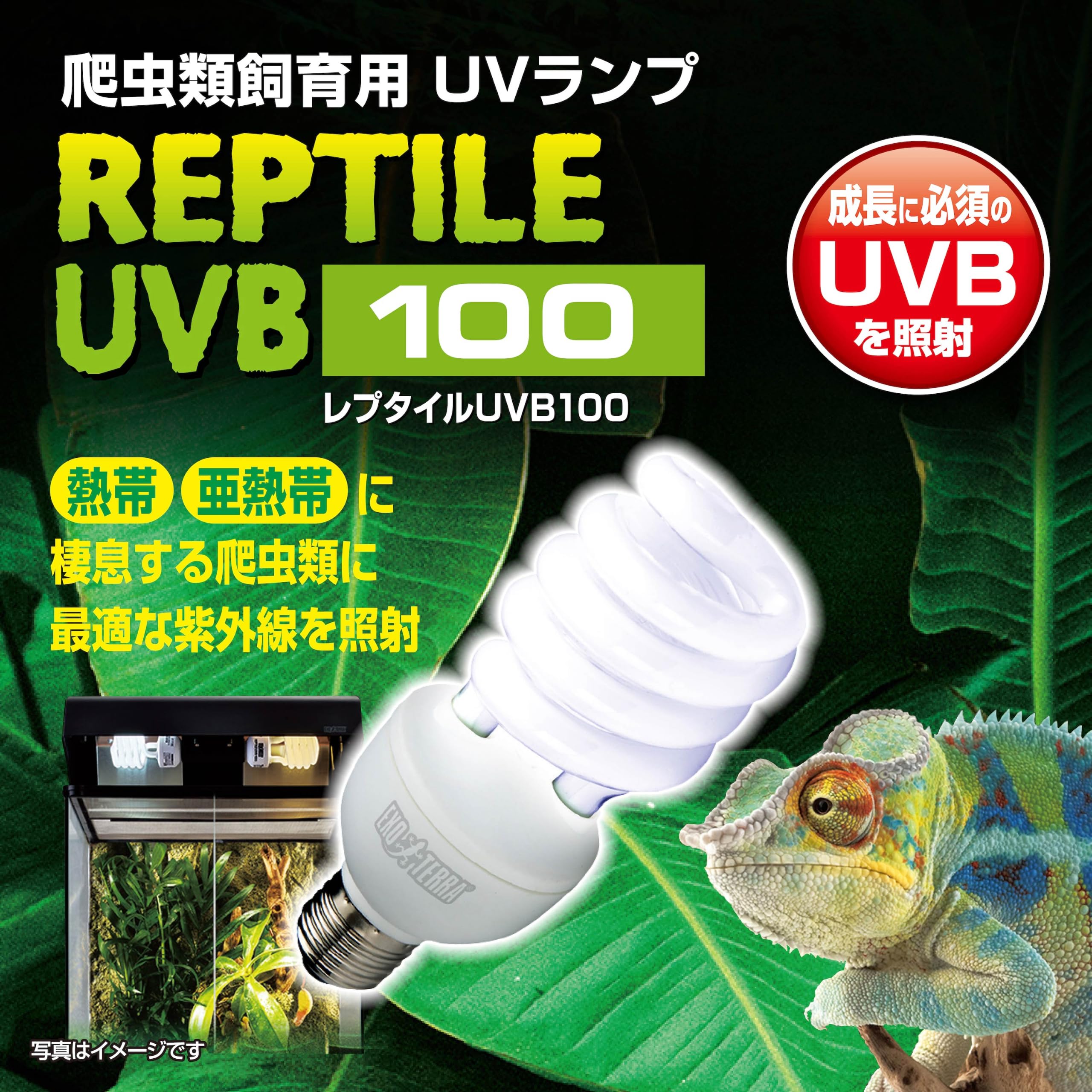 Amazon | ジェックス EXO TERRA エキゾテラ GEX EXOTERRA レプタイル