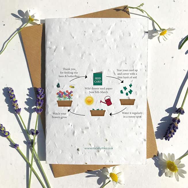 Amazon.co.uk seed cards