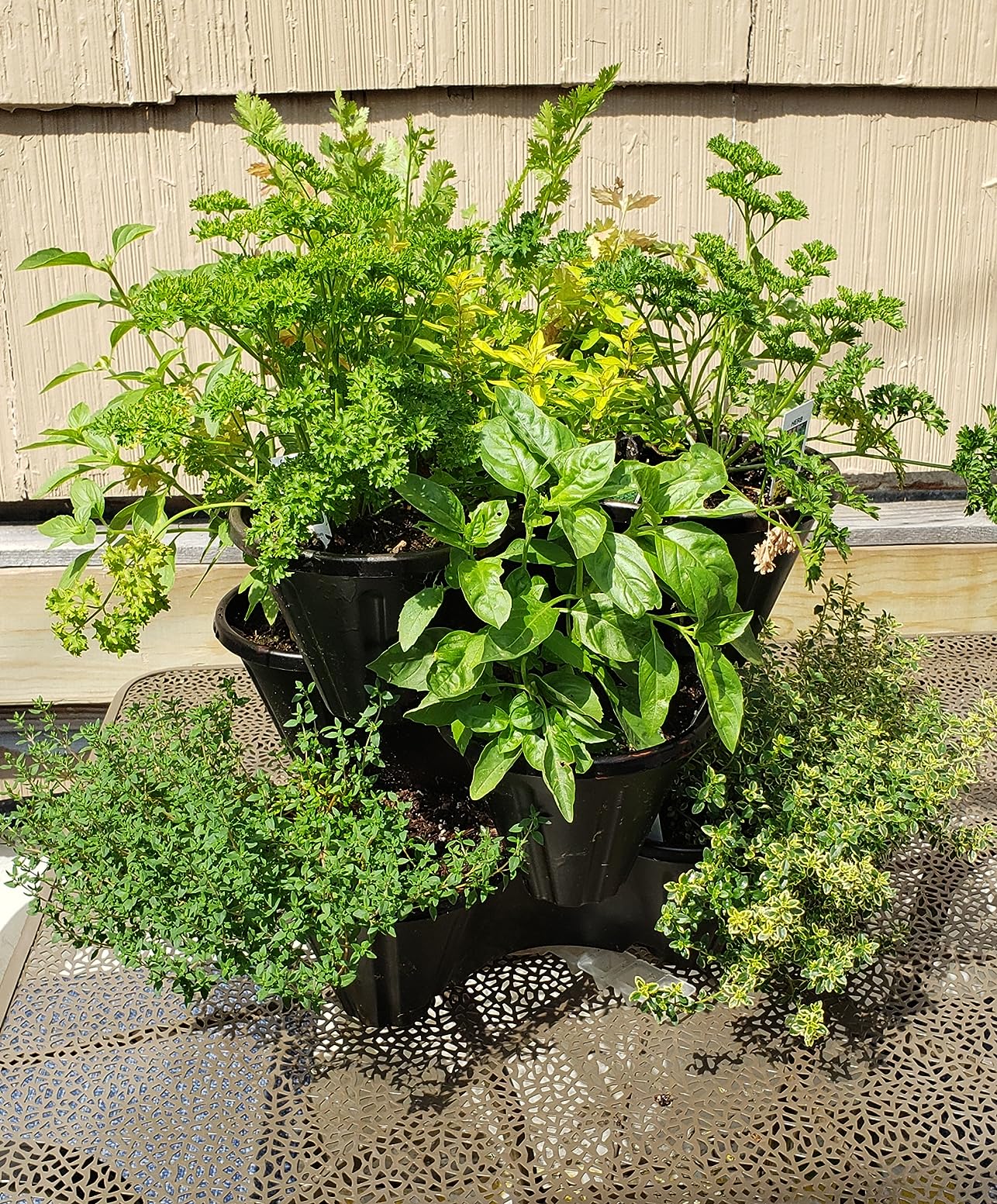 Pure Garden patio setup