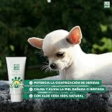 Ver la foto 2