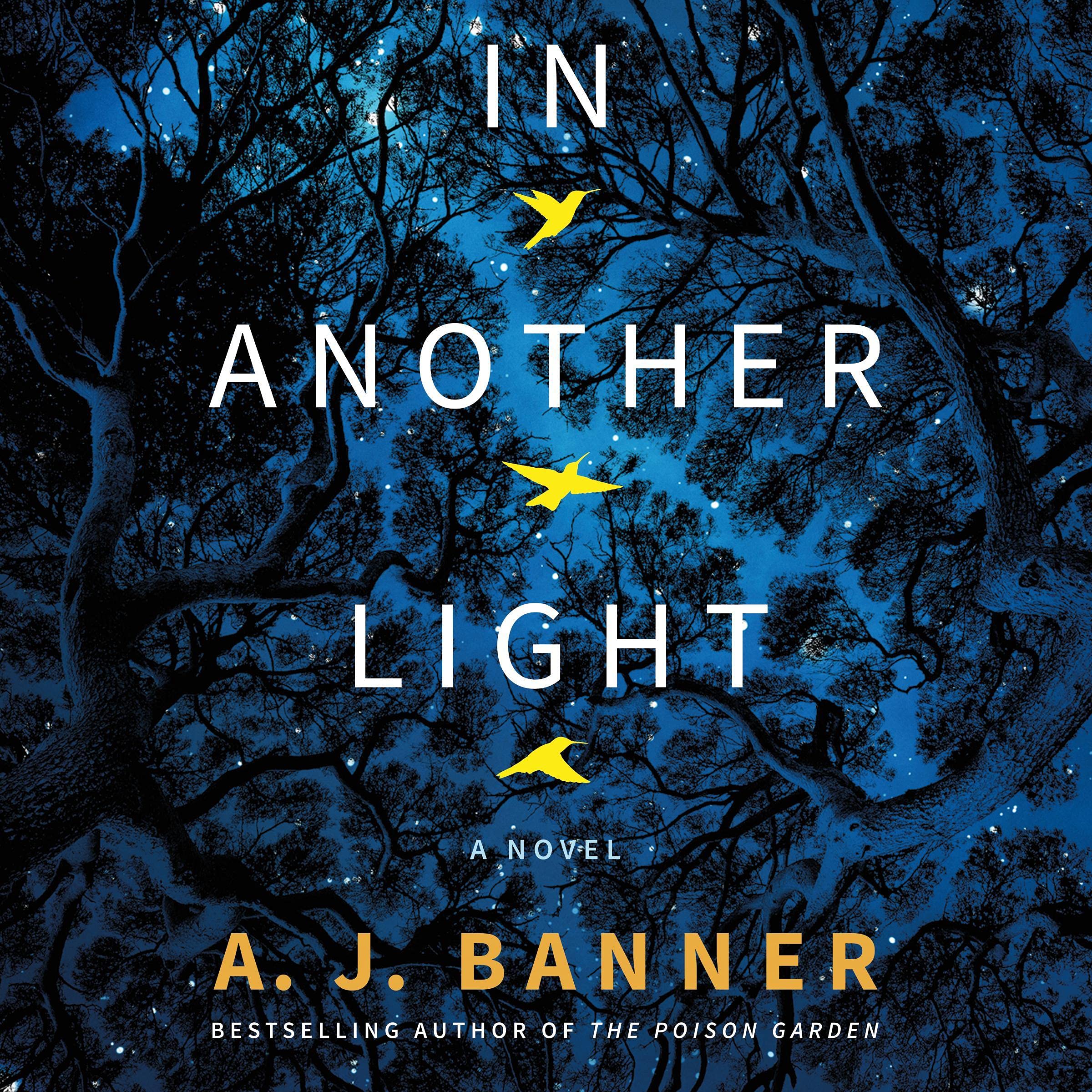 Cover art for In Another Light