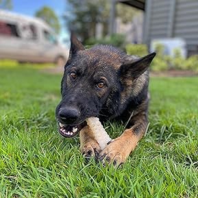 Best Dog Bones for Large Dogs: Safe, & Vet-Approved Chews 2 91MNmDpbG3L. AC SL289