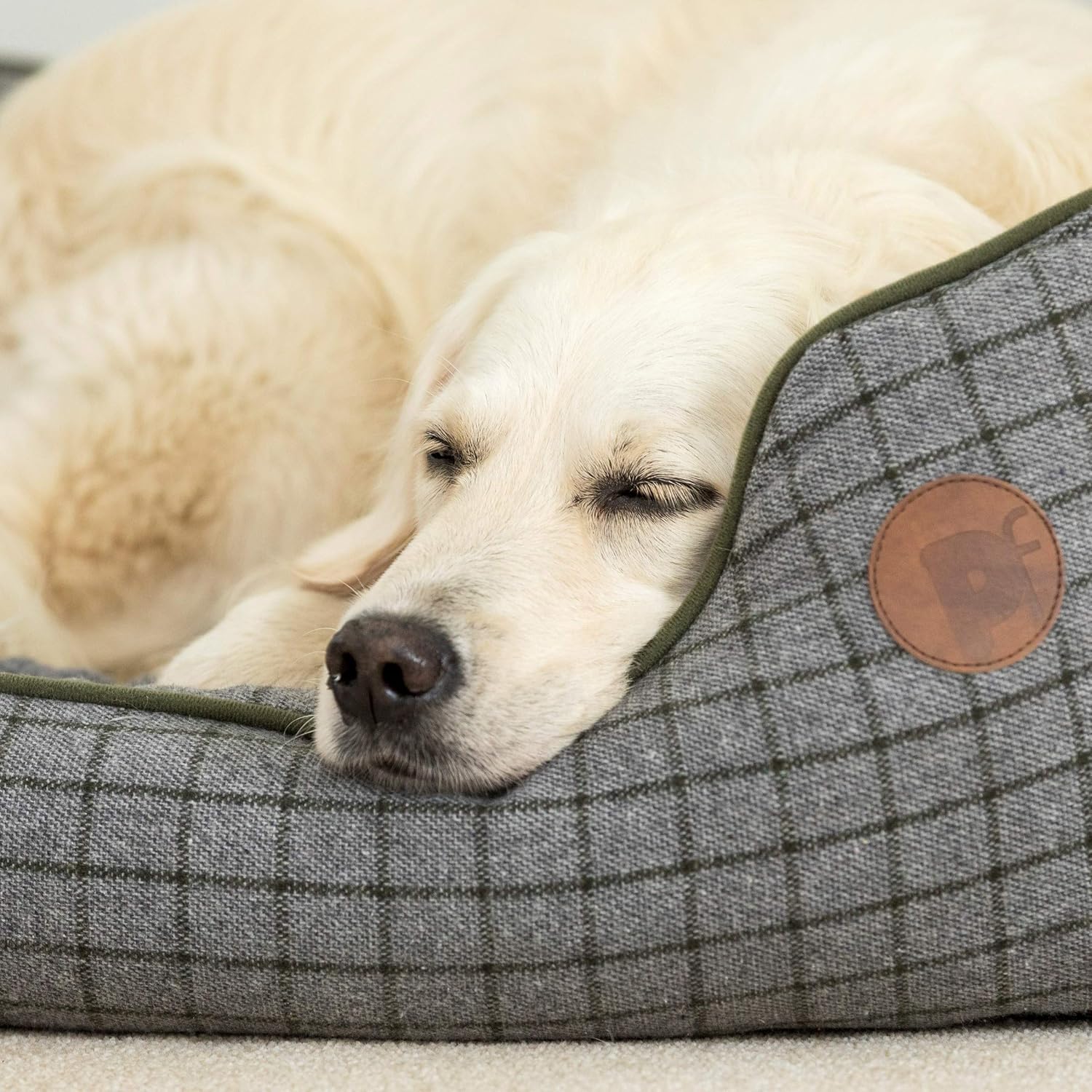 Petface Moss Green Square Dog Bed with Reversible Cushion, Machine Washable, Large (Pack of 1) 4 91MNwO1slaL. AC SL1500