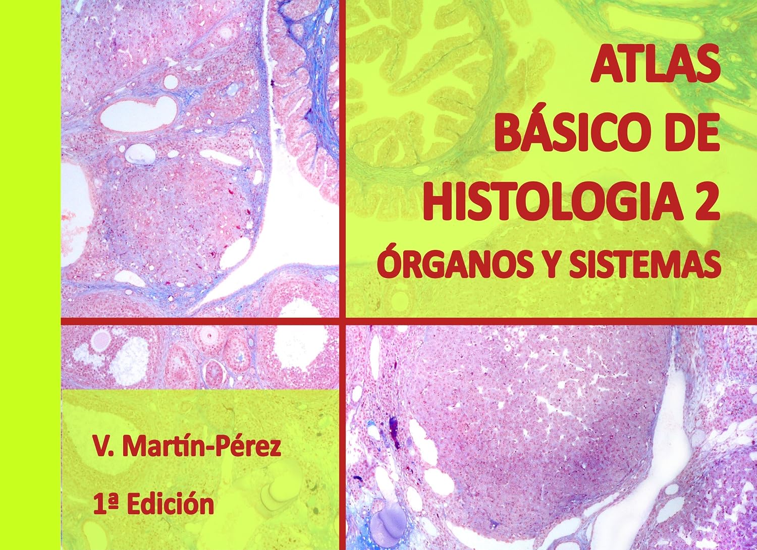 Atlas Básico de Histología 2 Órganos y Sistemas (Spanish Edition)