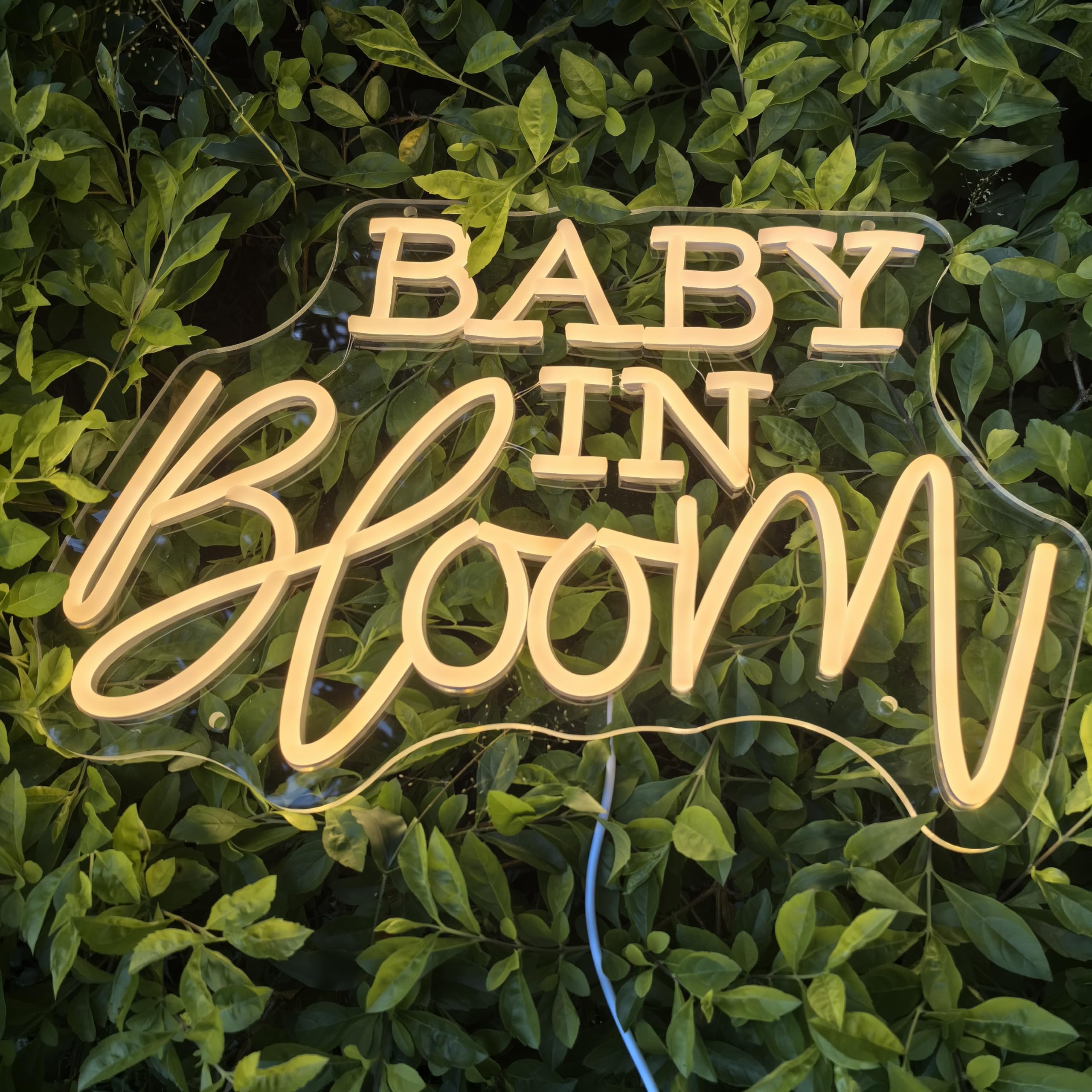 Baby in Bloom Neon Sign For Baby Shower Decor, Birthday Party Backdrop, Neon Light (15.7x10.7in)