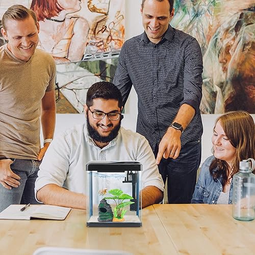 Betta Fish Tank Self Cleaning Glass 2 Gallon Small — alternate color or size variant on Amazon