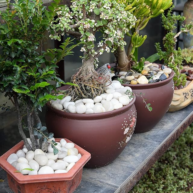Foto 7 de 7 de Hisredsun Piedras decorativas blancas de 4 libras, piedras pulidas naturales para macetas