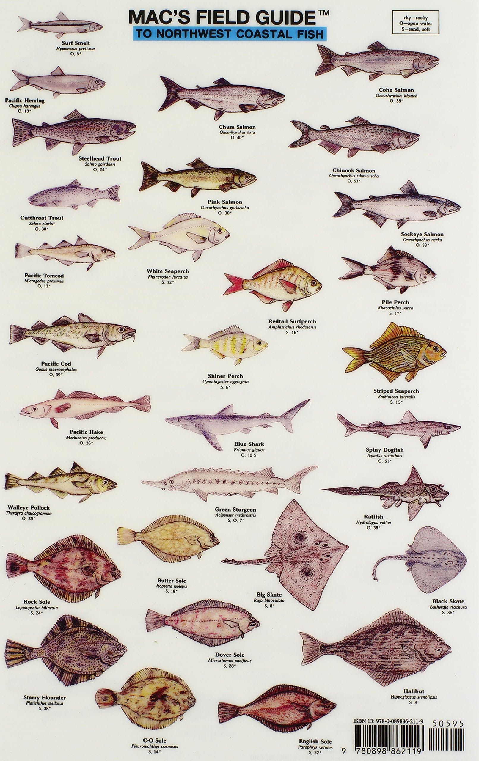 Mac's Field Guide to Northwest Coastal Fish (Mac's Field Guides)