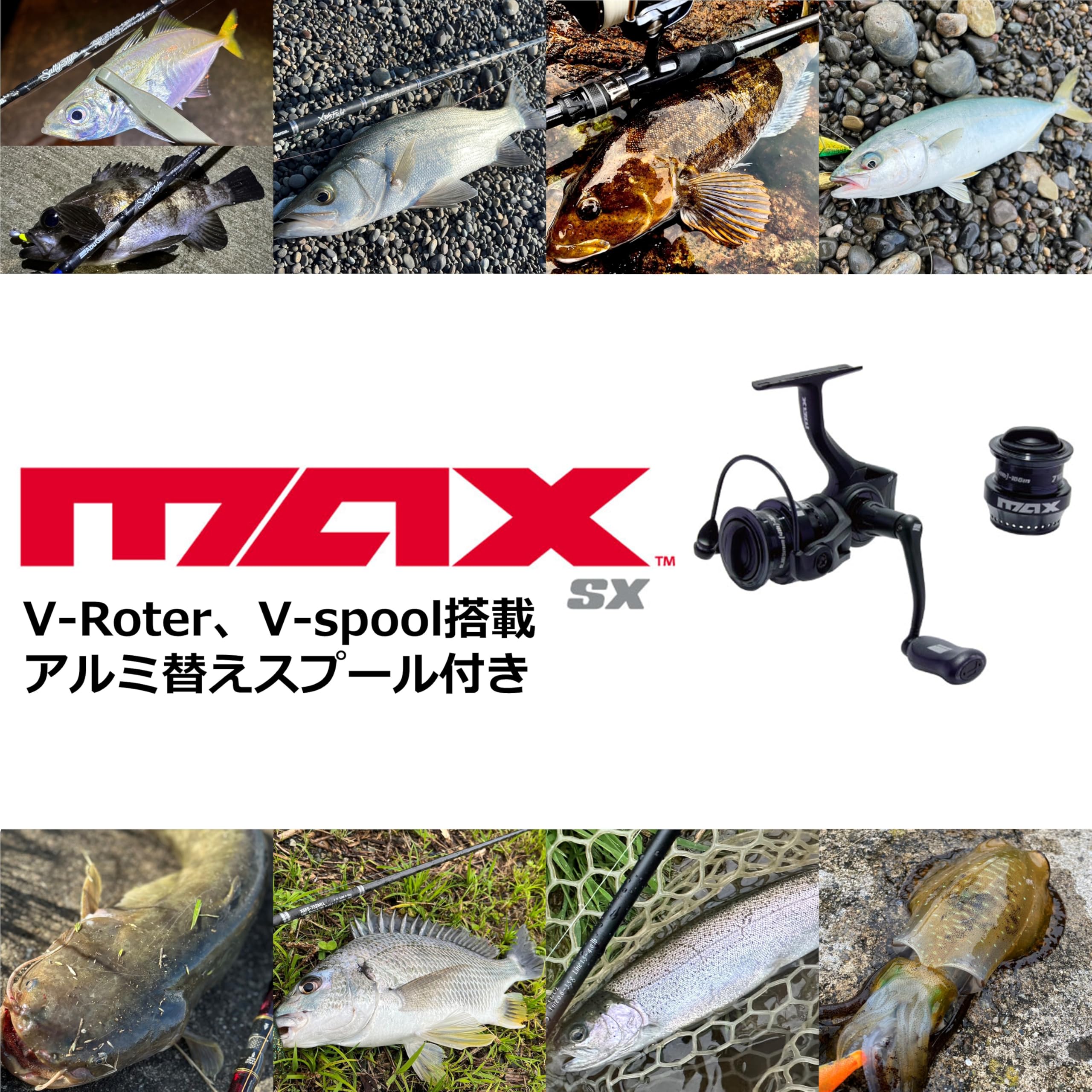 Amazon.co.jp: アブガルシア（Abu Garcia）: エギング