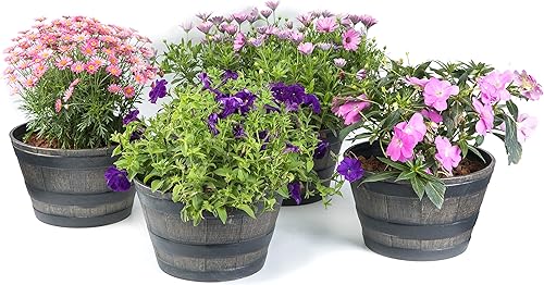 Gardenised Macetas redondas de medio barril de 4 piezas estilo rústico de madera sintética para uso en interiores y exteriores, perfectas para