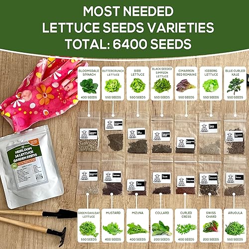 Miniatura 2 de Semillas de jardín de lechuga y ensalada para plantar, más de 6400 semillas de verduras cultivadas en Estados Unidos sin OMG para cultivo doméstico,
