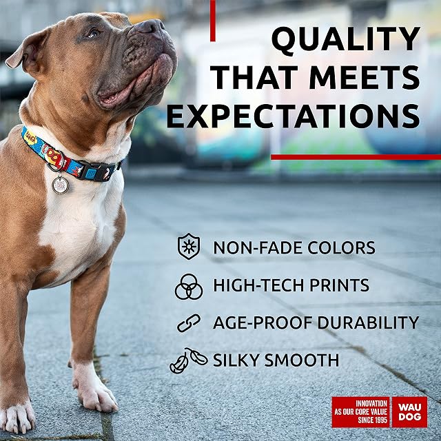 Foto 4 de 6 de Collar de nylon para perro WAUDOG - Collar ajustable para perros grandes, pequeños y medianos