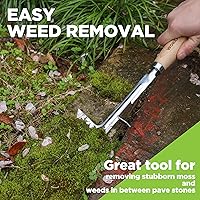 Vista 7 de WORKPRO Desbrozadora de grietas, herramienta de deshierbe de acero inoxidable de 12 pulgadas con mango de madera de haya, espátula extractora