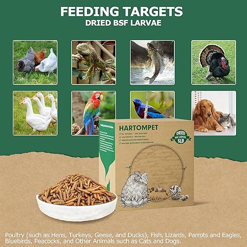 Miniatura 8 de HARTOMPET Larvas de mosca soldado negro secas sin OMG de 5 libras, impulso de calcio superior para pollos, mejor que los gusanos secos de la harina,