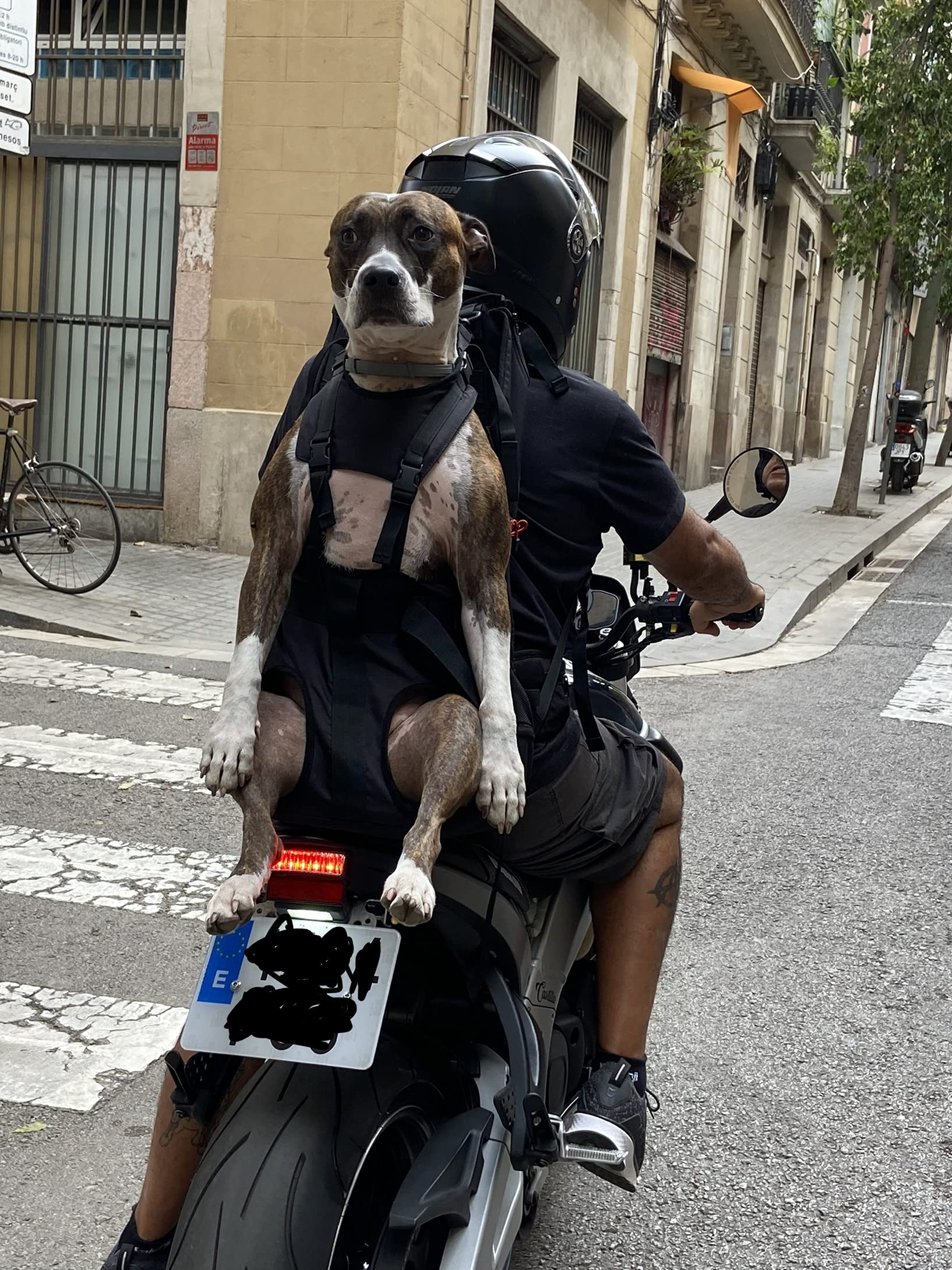 Dog Carrier - Zaino per cani da 9 a 18 kg