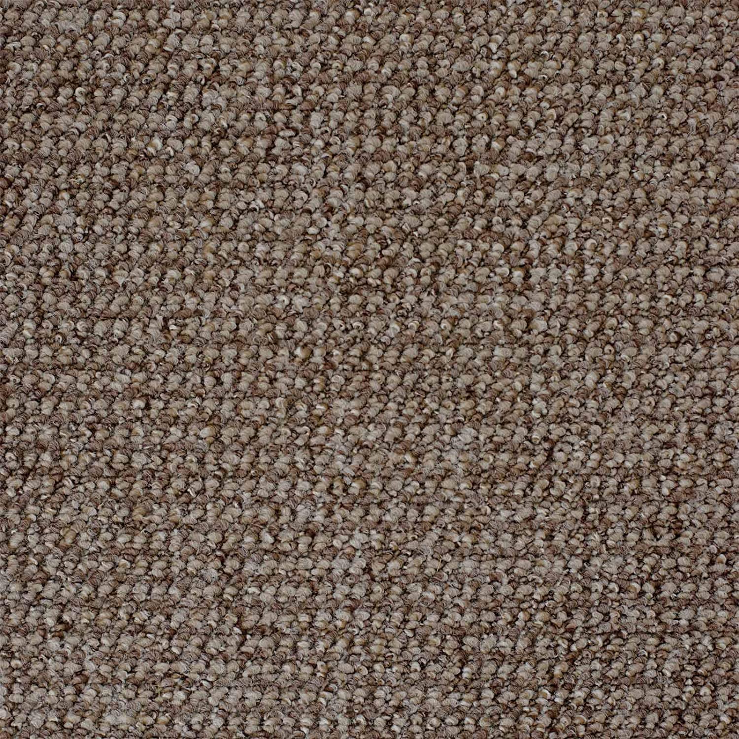 247Floors Marbella Hardwearing Loop Pile Carpet Felt Back Stain Resistant (Dark Beige - 5m x 6m) — image 1
