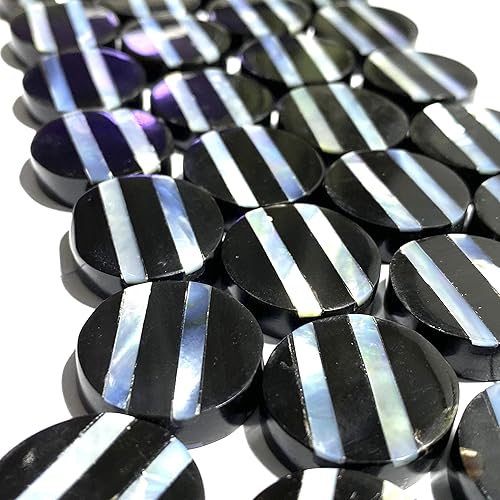 Miniatura 3 de [ABCgems] Trochus en espiral blanco perlado del océano Pacífico, también conocido como conchas de troca (cuerno de búfalo negro más negro,