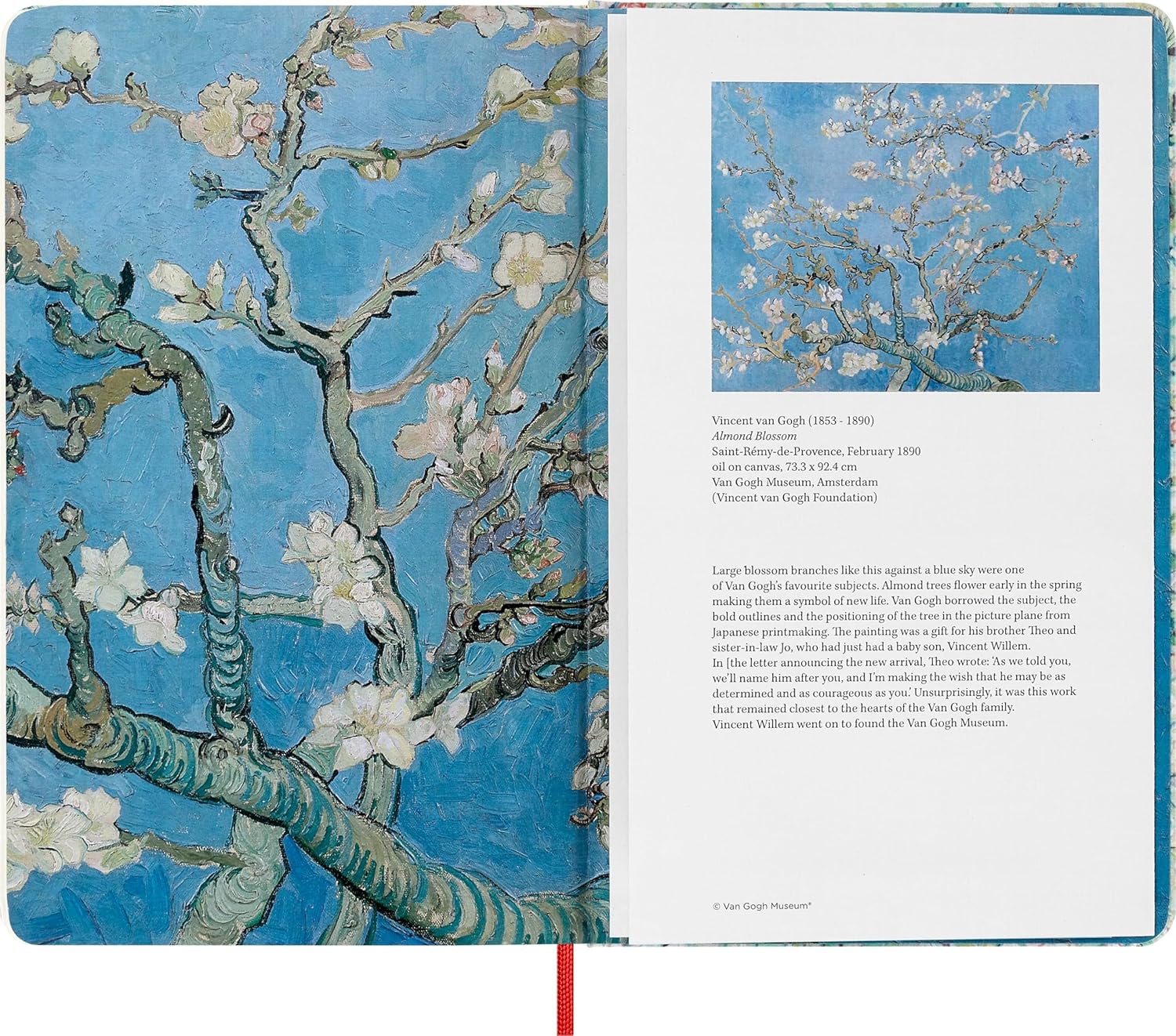 Moleskine Limited Edition Sketchbook Van Gogh, Large, Plain, Hard Cover (5 x 8.25)