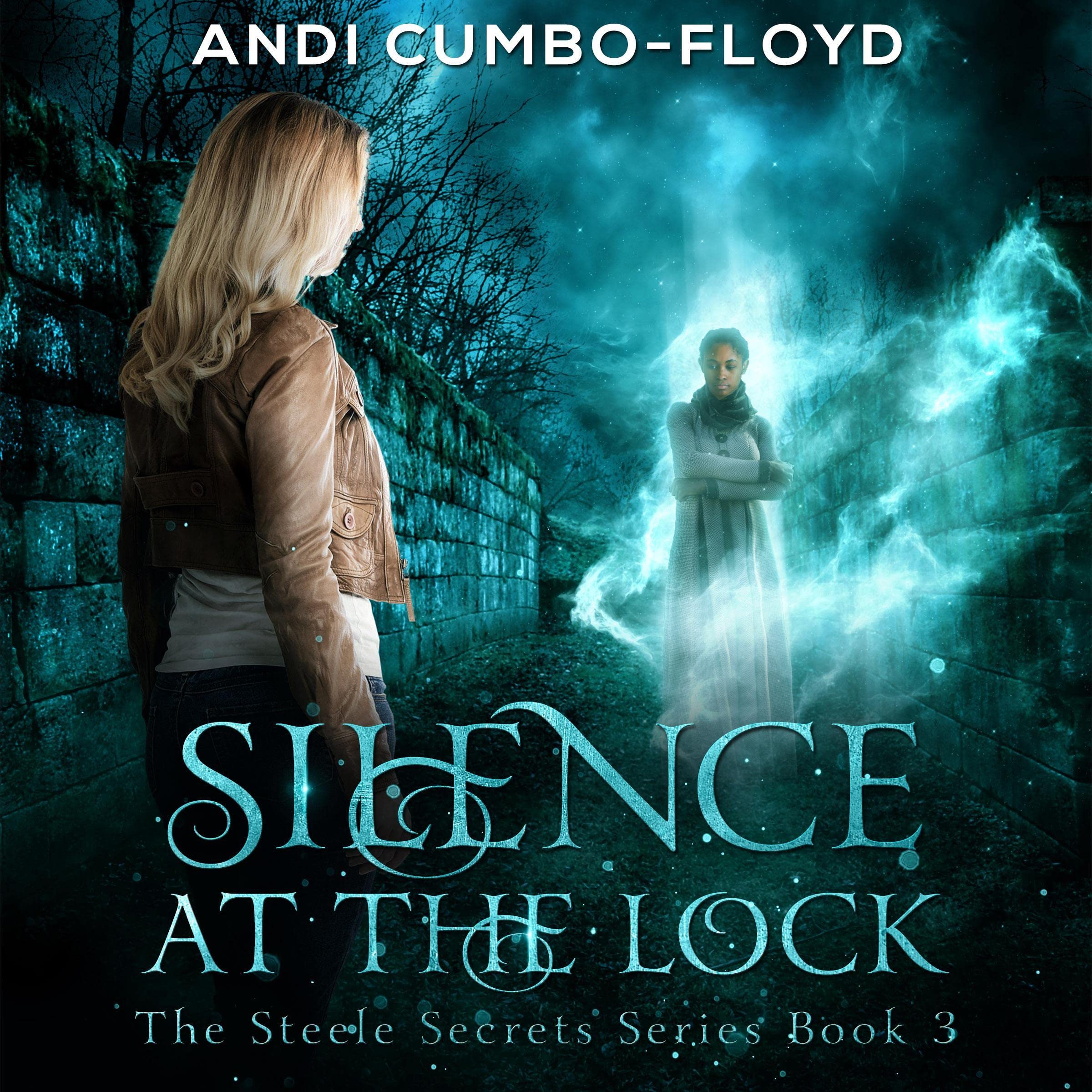 Cover art for Silence at the Lock