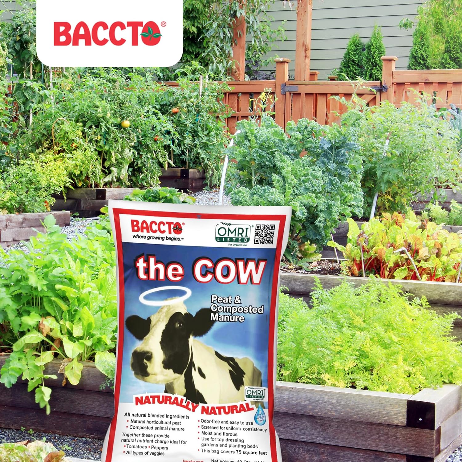 Michigan Peat Baccto Wholly Cow Horticultural Compost and Manure for Soil Amendment, Lawn Care, Vegetable Garden Beds, and More, 40 Quart Bag, 2280 lbs.