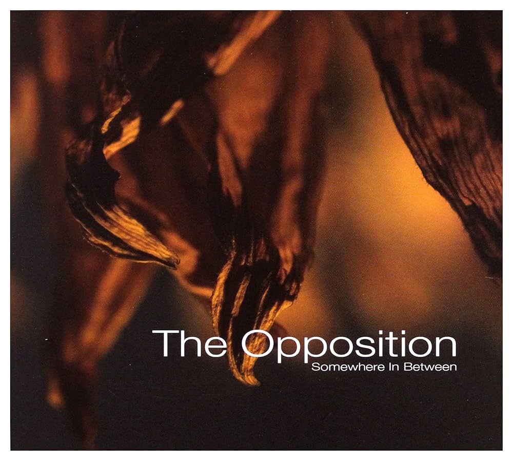 Amazon.co.jp: Somewhere in Between: Music