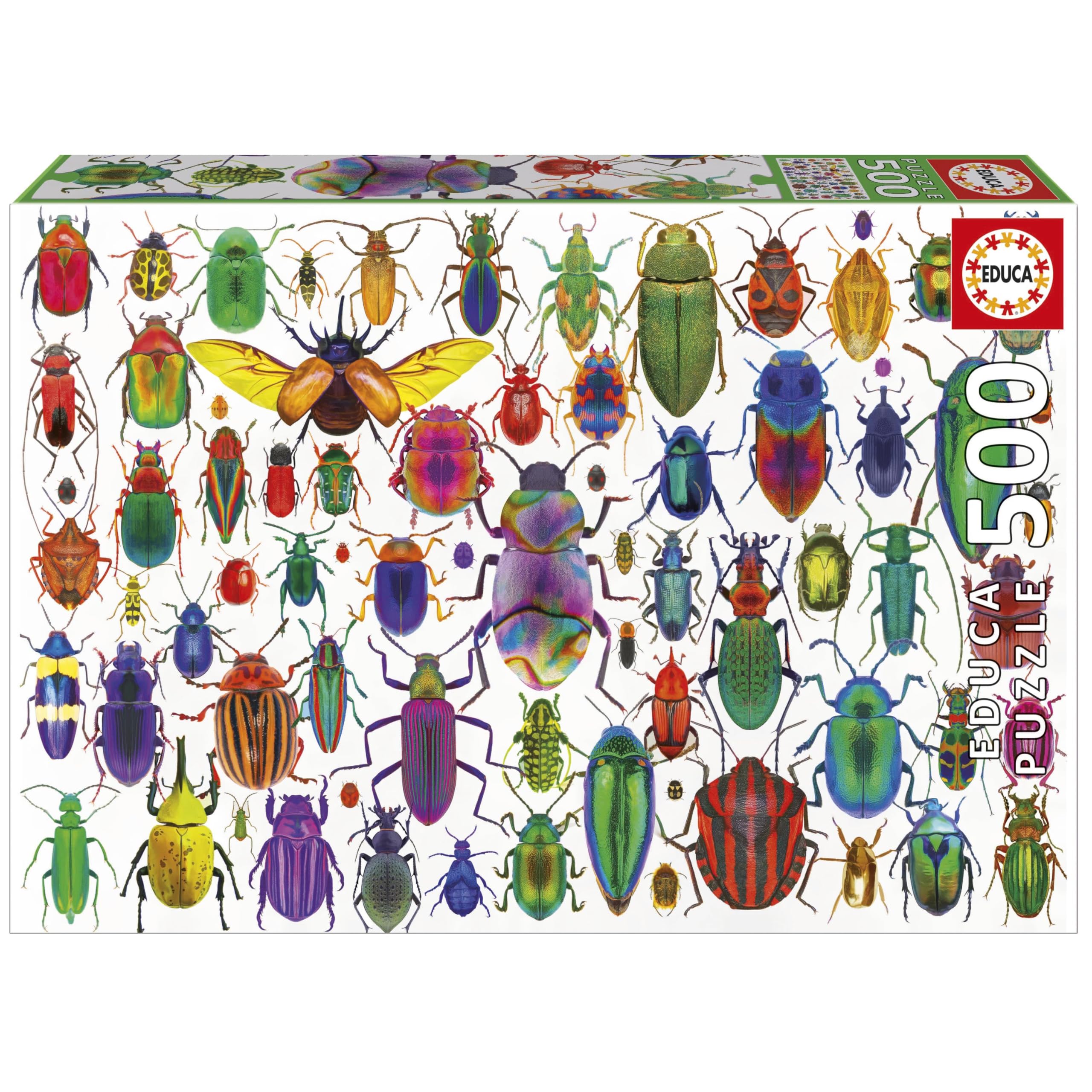 Educa - 500 Piece Jigsaw Puzzle for Adults | Beetles | Includes Glue Fix Puzzle Size: 48 x 34 cm - 11 Years (20252)