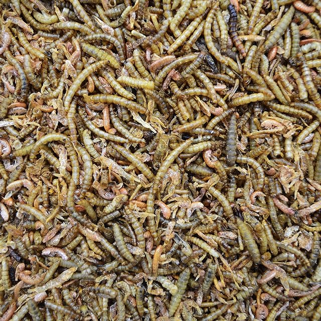 Foto 2 de 5 de FINCA CASAREJO - Mix de Insectos Secos - Alimento deshidratado para Aves Ornamentales y Otros Animales - 700g