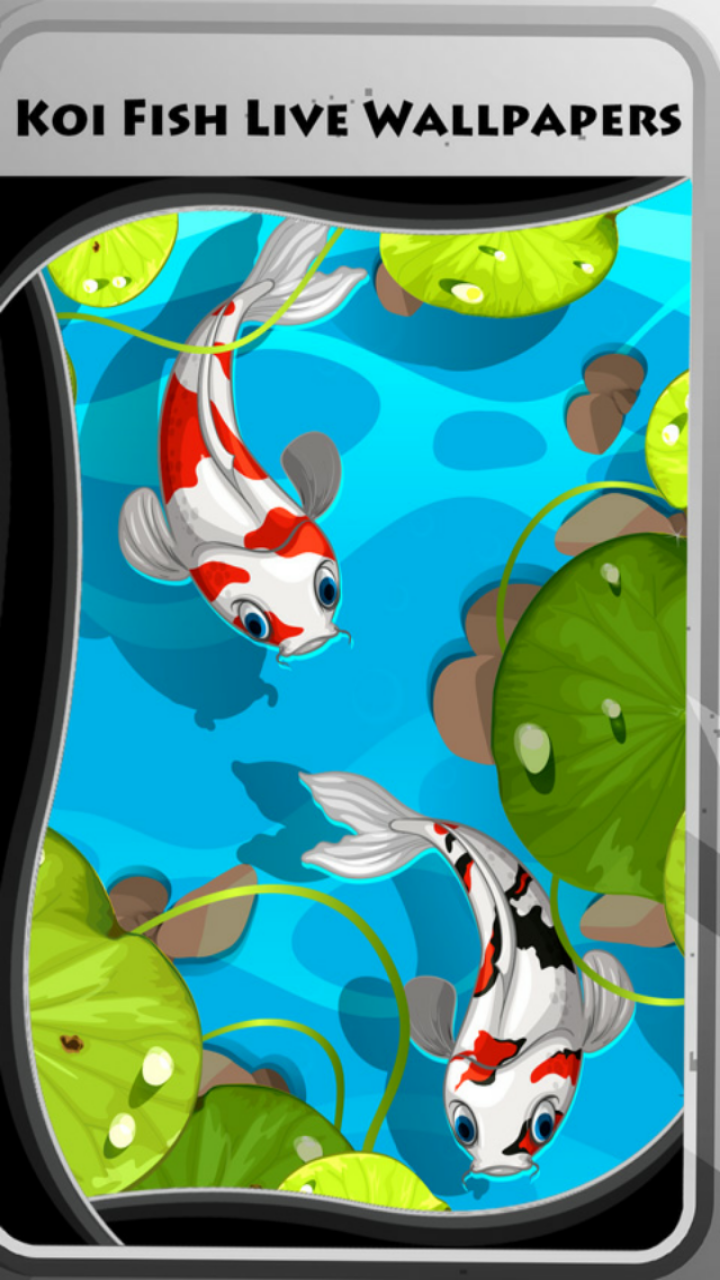 Koi Fish Live Wallpapers Aplicativo na Amazon Appstore
