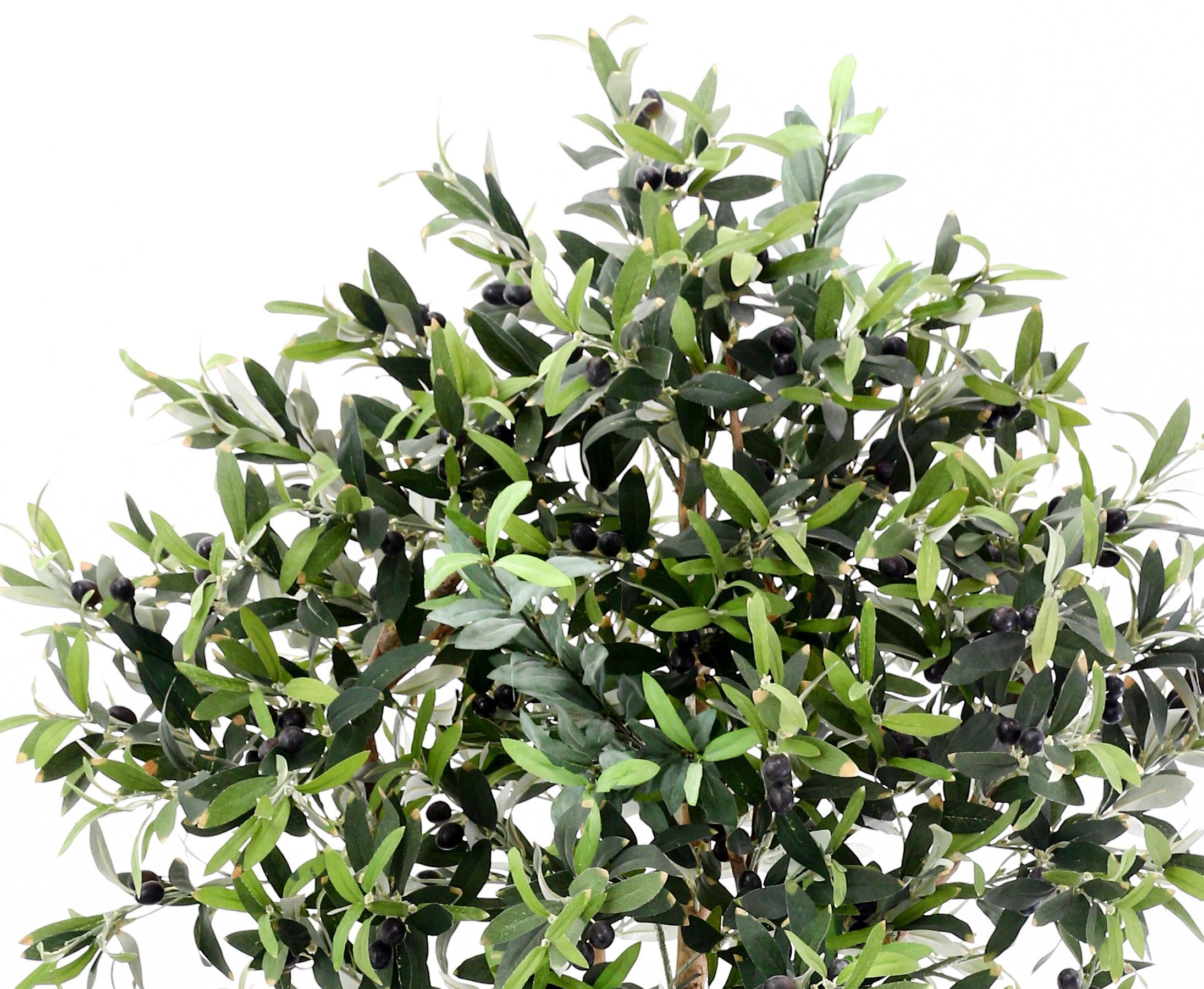 Aceitunas de 175 cm Algodón con 2560 Fibra Textil Hojas y Natural Troncos