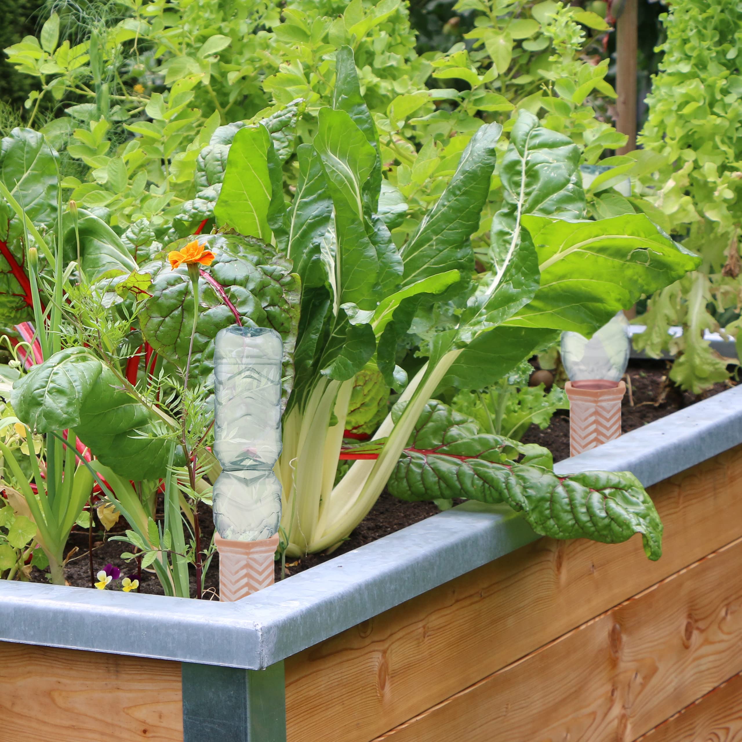 Image secondaire de Lot de 4 Cônes d'Arrosage en Terre Cuite Relaxdays pour Plantes