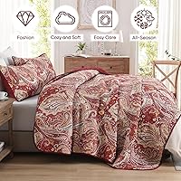 Vista 86 de DJY Juego de edredón de cachemira marrón, tamaño Queen, juego de colcha bohemia de 3 piezas, ropa de cama de microfibra suave y ligera con estampado