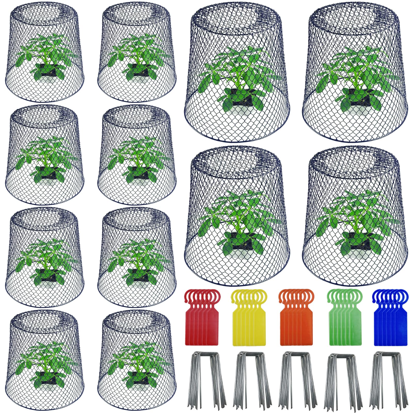 12PCS 23x23cm Chicken Wire Plant Covers Protectors with 40 U-Shaped Stakes & 30 Labels,Garden Cloches Plants Cages for Outdoor,Heavy Duty Metal Plant Protectors from Chicken Bunnies Squirrels Birds