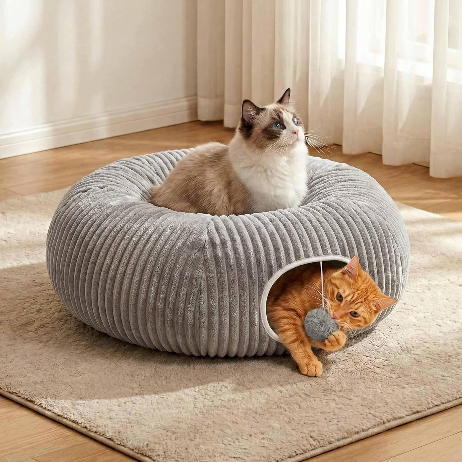 https://m.media-amazon.com/images/I/91MS-+ofQDL._AC_SL1500_.jpg